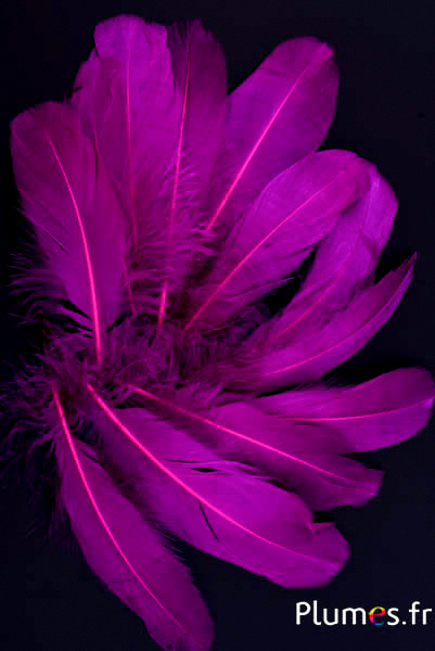 Oie - 11-15 cm - aubergine